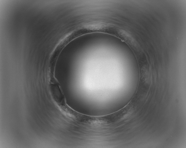 X0000068260400200604241237