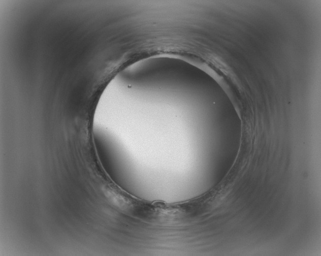 X0000068260401200604241237