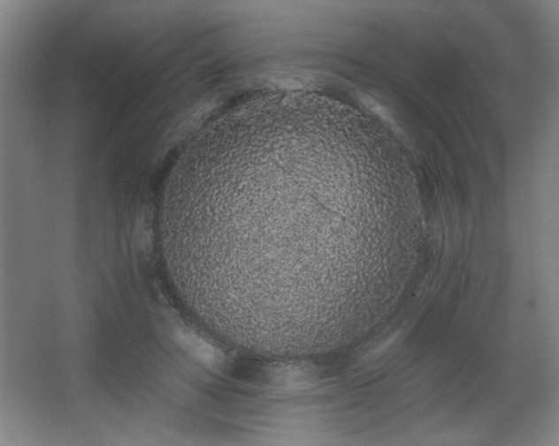 X0000068260402200604241237