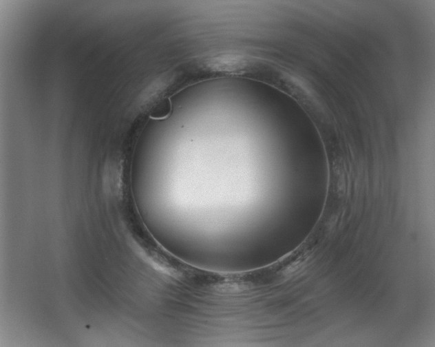 X0000068260404200604241237