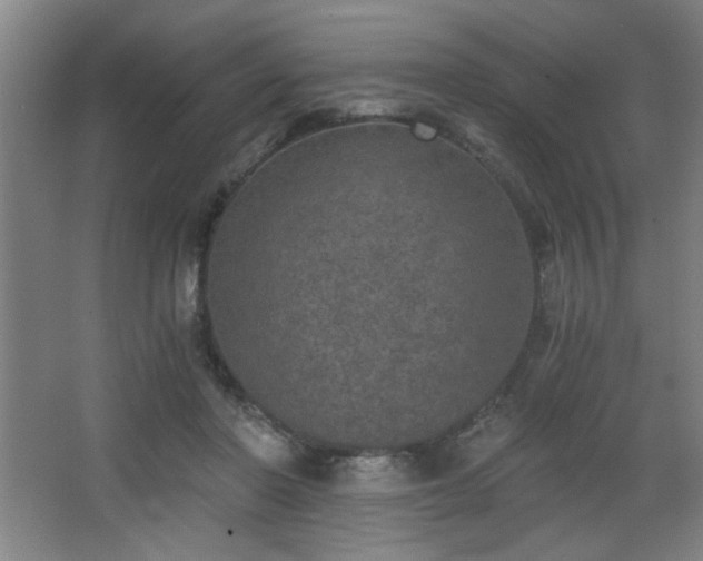 X0000068260406200604241237