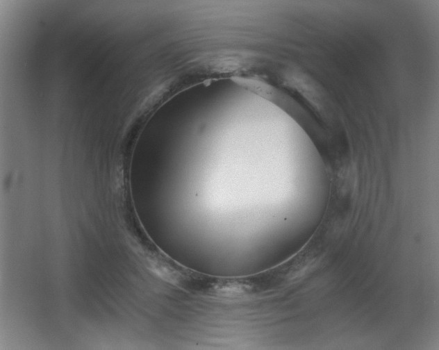 X0000068260407200604241237