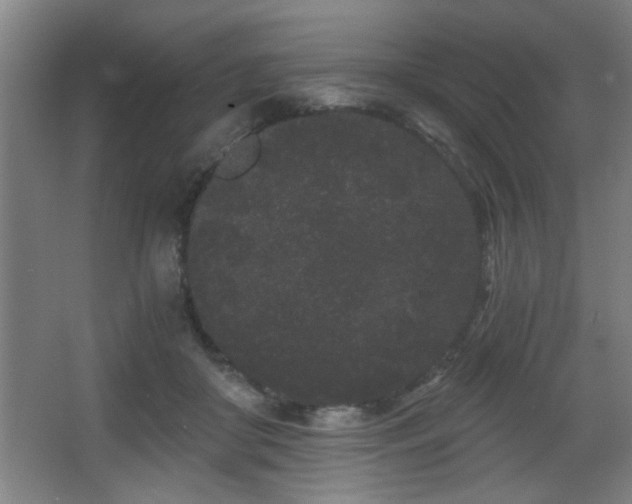 X0000068260410200604241237