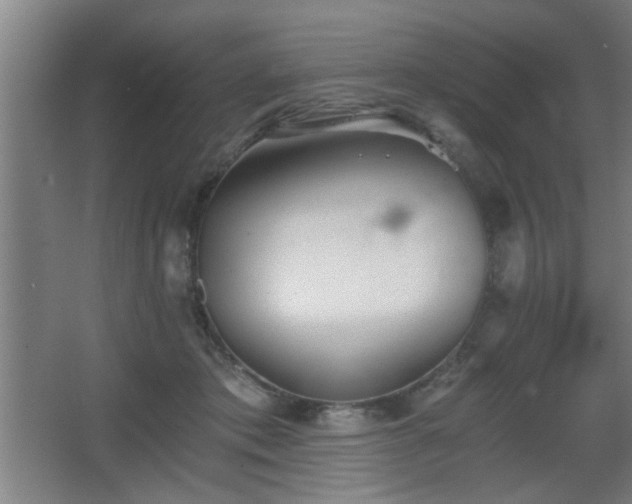 X0000068260413200604241237