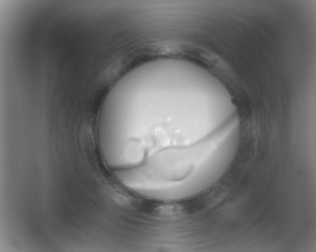 X0000068260415200604241237