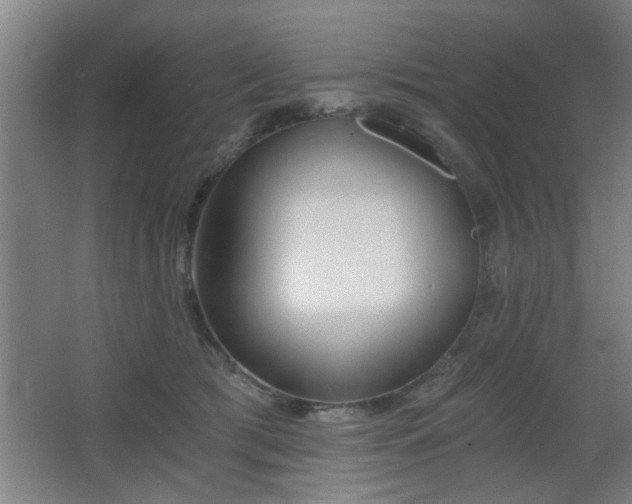 X0000068260417200604241237