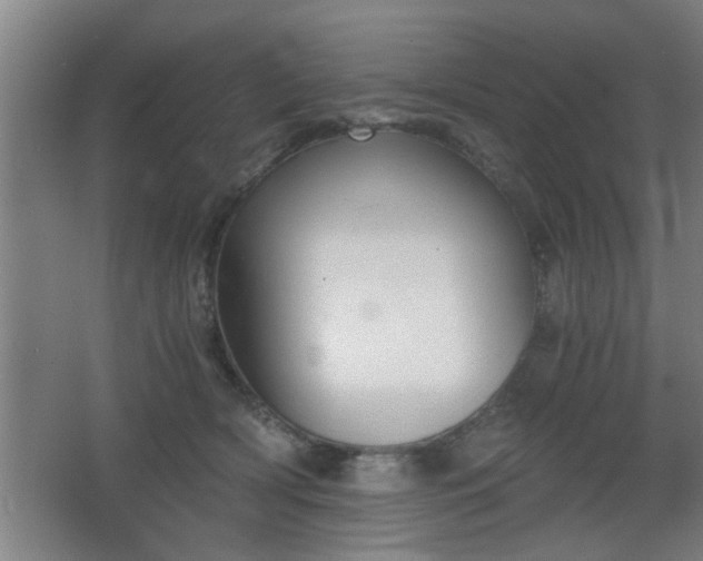 X0000068260418200604241237