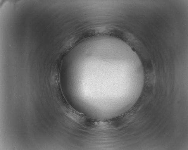 X0000068260419200604241237