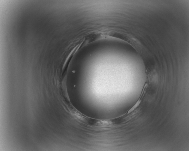 X0000068260429200604241236