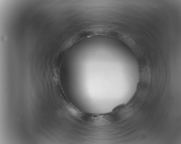 X0000068260430200604241236