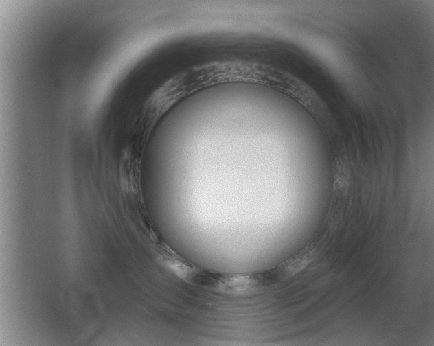 X0000068260431200604241236