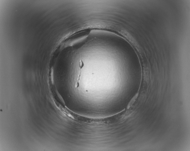 X0000068260434200604241236