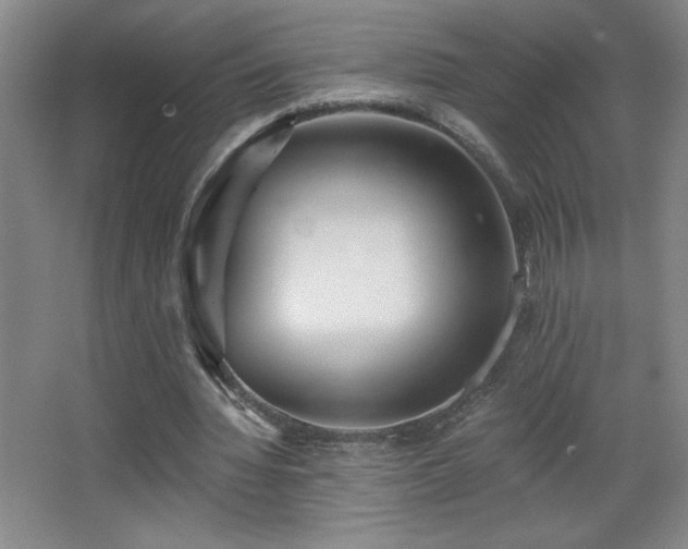 X0000068260436200604241236