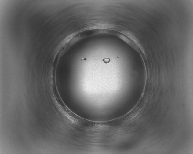 X0000068260437200604241236