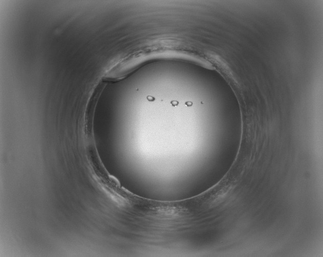 X0000068260439200604241236