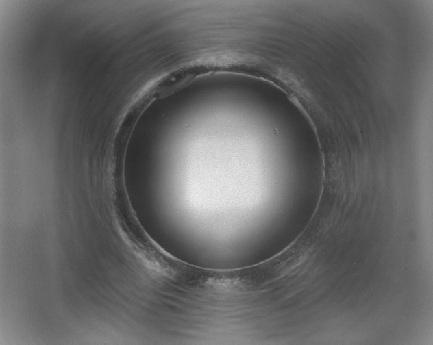 X0000068260440200604241236