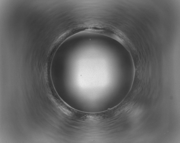 X0000068260442200604241236