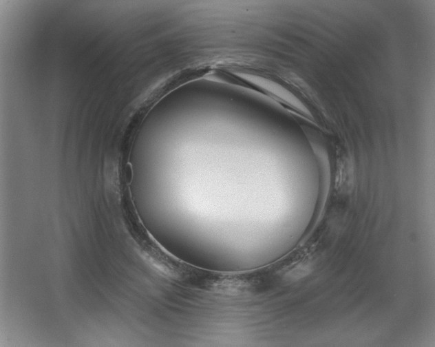 X0000068260444200604241236