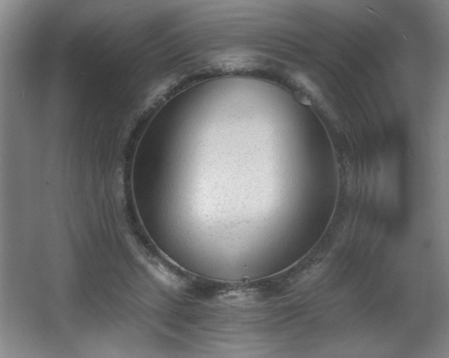 X0000068260447200604241236