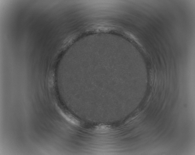 X0000068260451200604241236