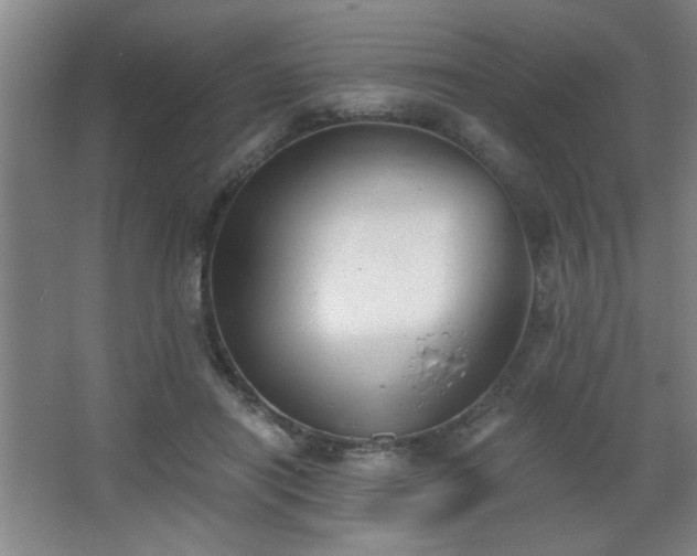 X0000068260454200604241236