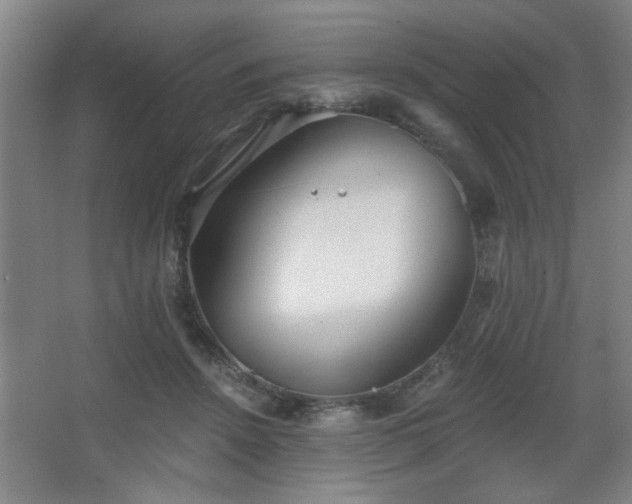 X0000068260456200604241236