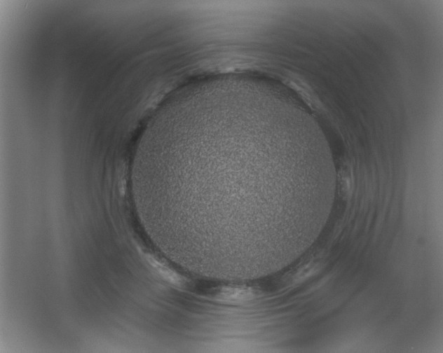 X0000068260458200604241236