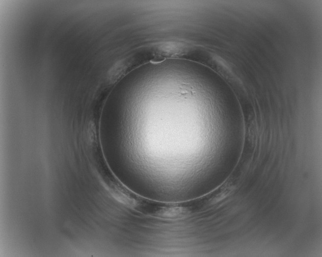 X0000068260459200604241236