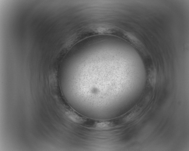 X0000068260461200604241236