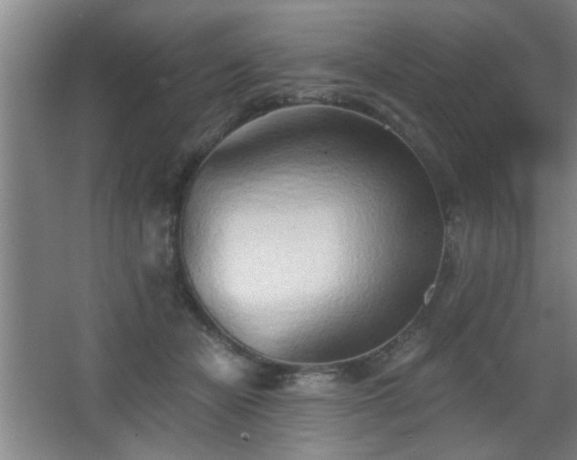 X0000068260462200604241236