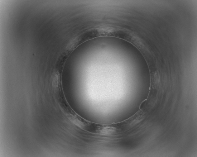 X0000068260463200604241236