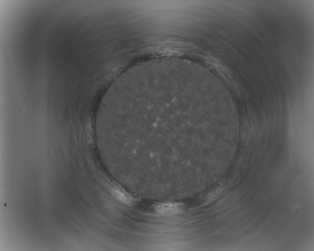 X0000068260465200604241236