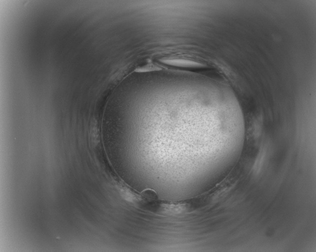 X0000068260469200604241236