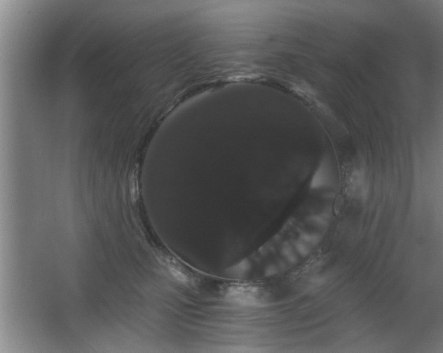 X0000068260471200604241236