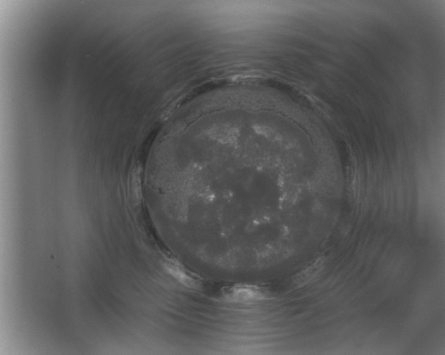 X0000068260475200604241236