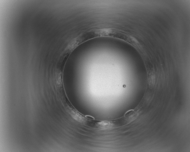 X0000068260477200604241236