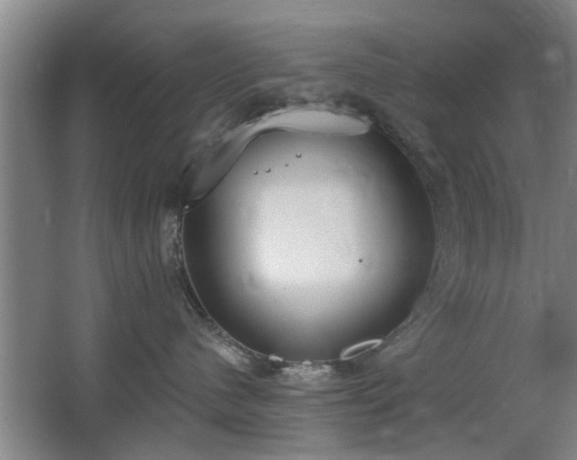 X0000068260480200604241236