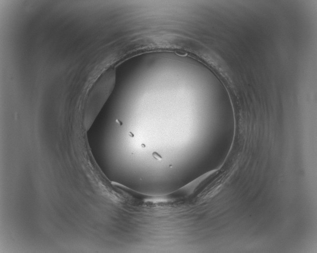 X0000068260481200604241236