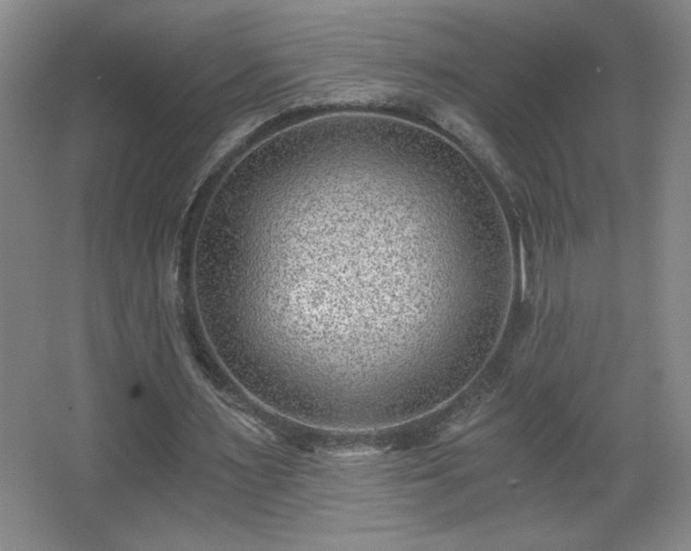 X0000068260483200604241235