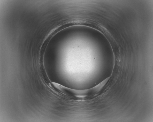 X0000068260484200604241235