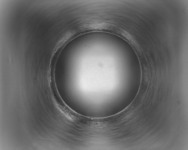 X0000068260486200604241235