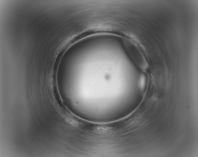 X0000068260487200604241235