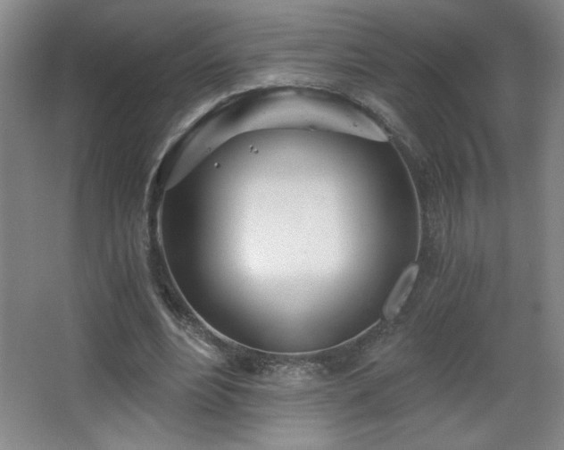 X0000068260488200604241235