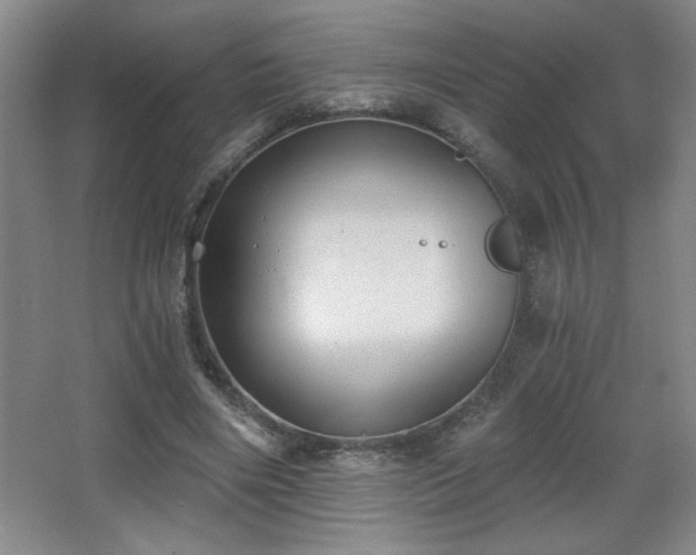 X0000068260490200604241235