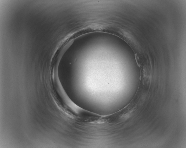 X0000068260492200604241235