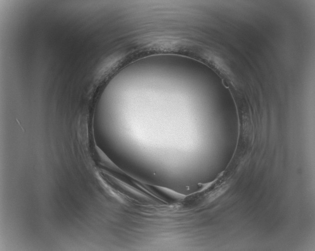 X0000068260493200604241235