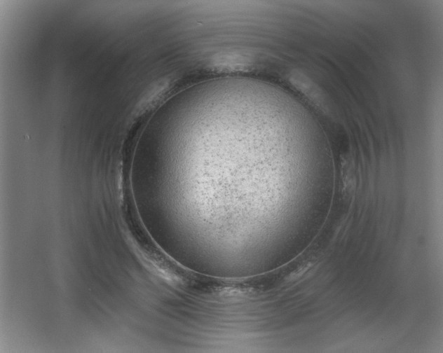 X0000068260494200604241235