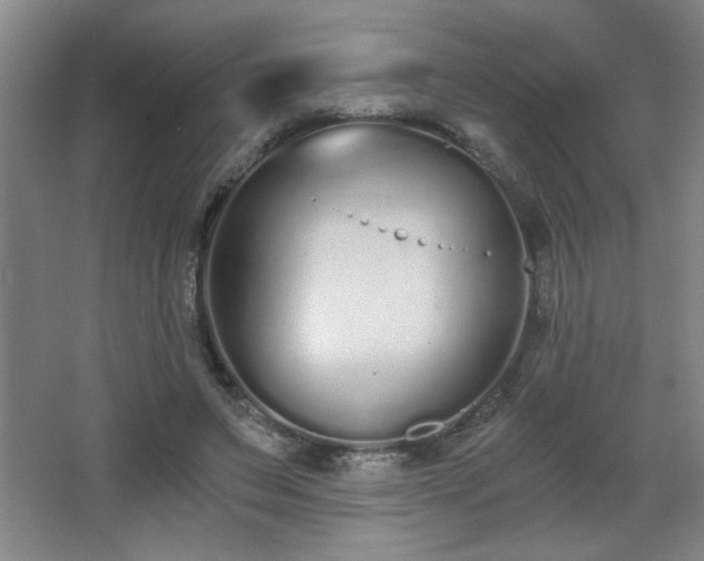 X0000068260495200604241235