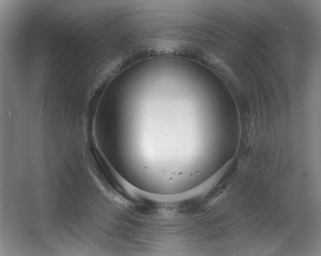 X0000068260496200604241235