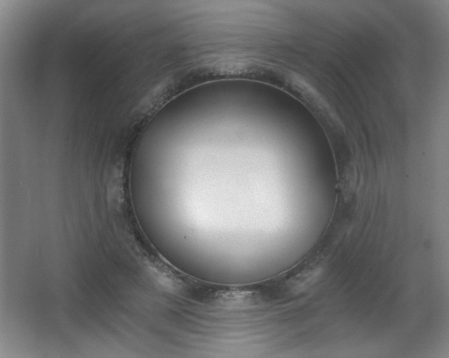 X0000068260497200604241235